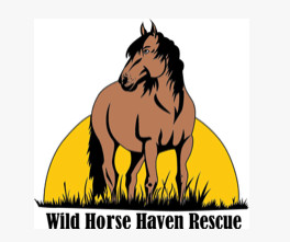 The Horse Heart Connection