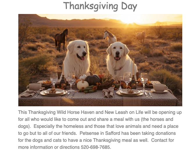 Thanksgiving at Wild Horse Haven