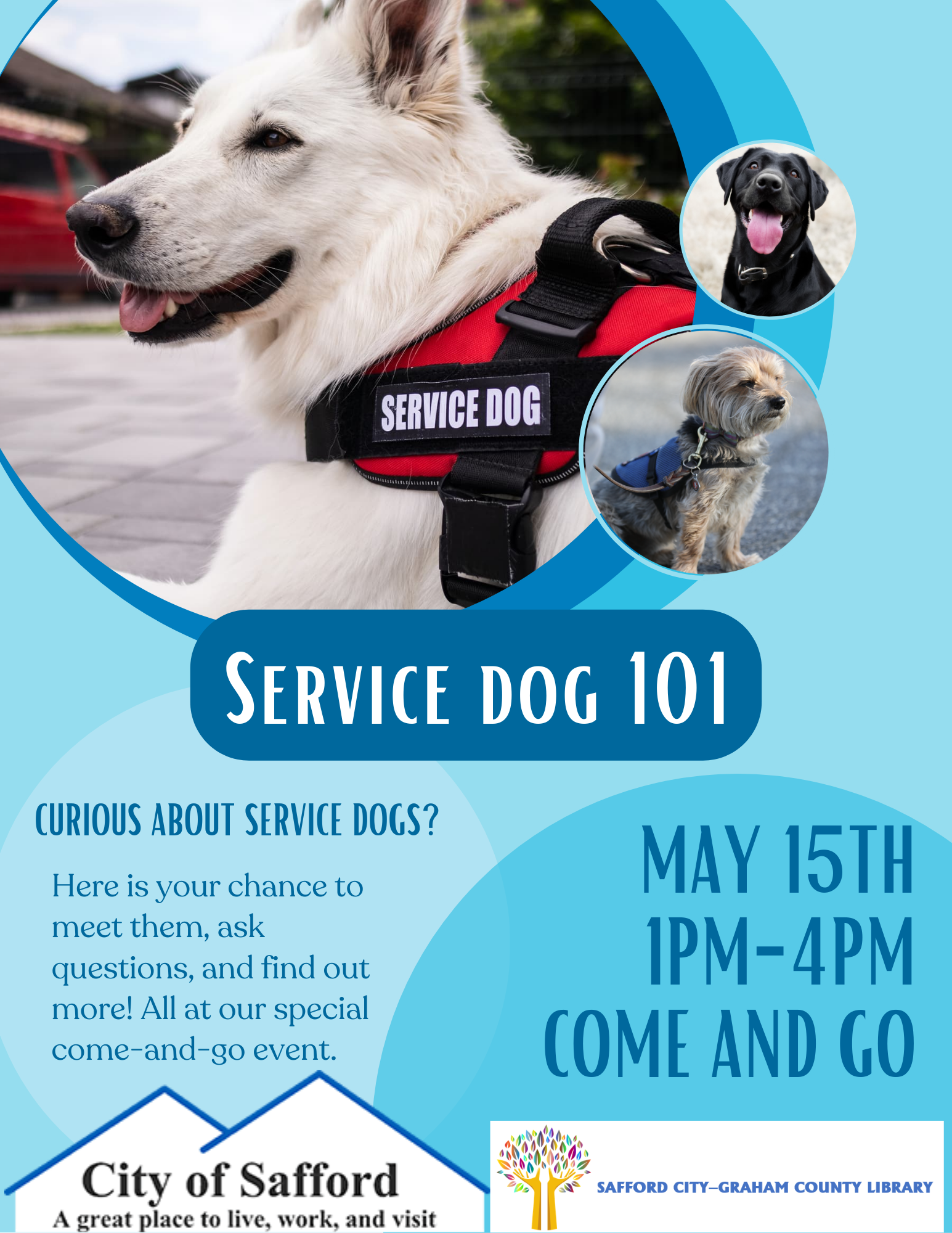Service Dog 101