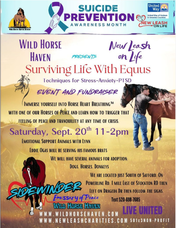 Surviving Life with Equus