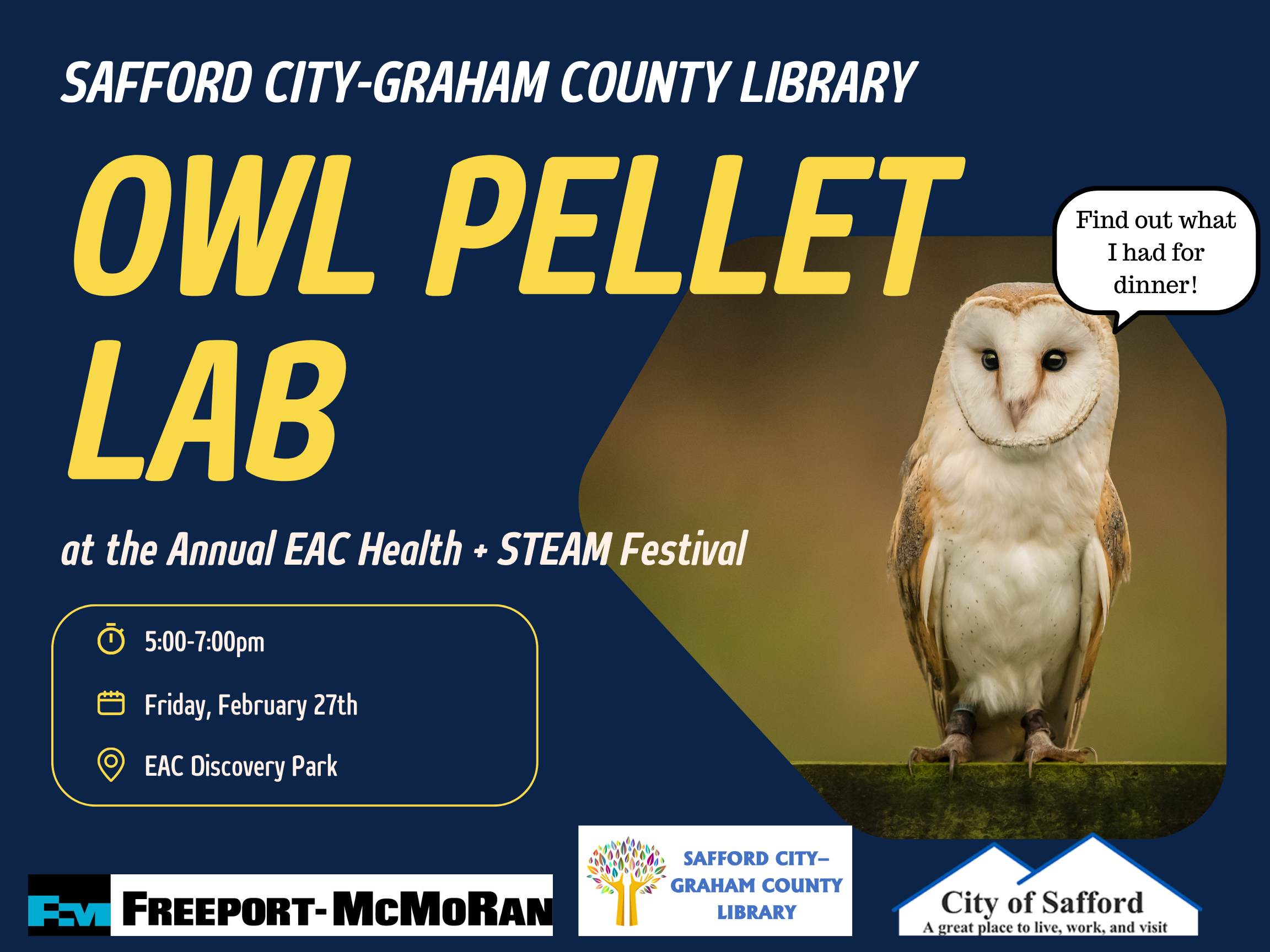 Owl Pellet Lab